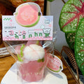 Beverage-Mangosteen Delight Squishy