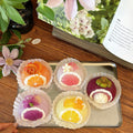 Dessert-Fruits Mochi Squishy (5 flavors)