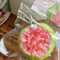 ORANGE Guava & Pear Fruit Squishy – Realistic Fruit Slice Stress Relief Toy